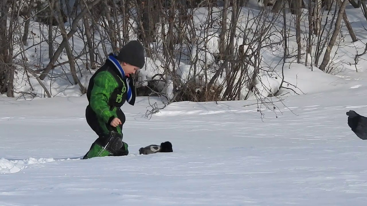 Checking out burn site