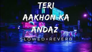 Teri Aankhon Ka Andaz (Slowed Reverb) | Alka Yagnik &Udit Narayan