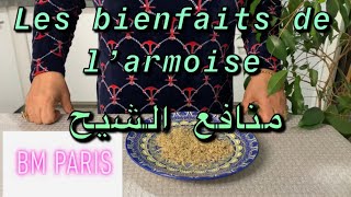 Les bienfaits de l’armoise  منافع الشيح