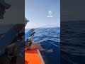 Να κάνουμε αυτό που αγαπάμε! Θάλασσα μια σανίδα και ψάρεμα #Bullzen #zantetsu Hookit.gr
