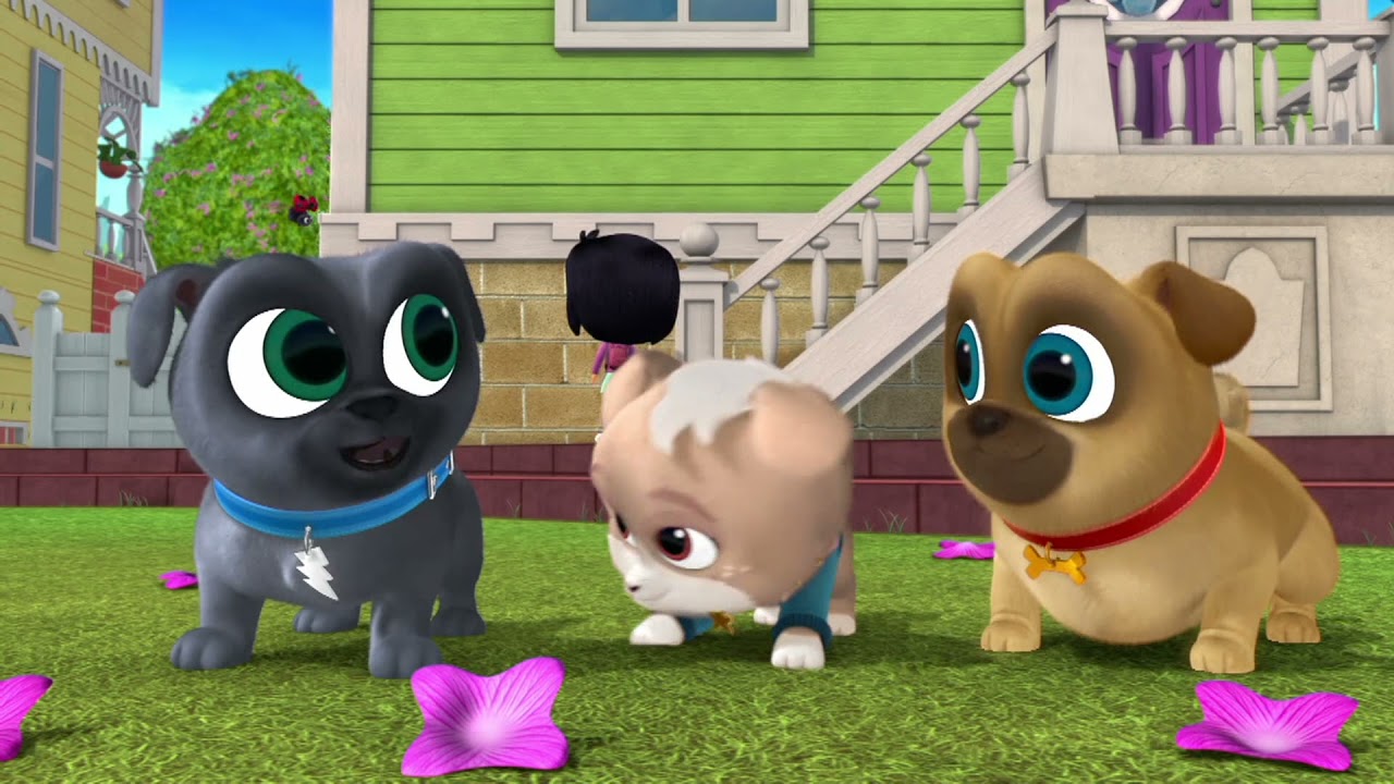 Puppy Dog Pals – Clip | Keia's New Doghouse | Disney Jr