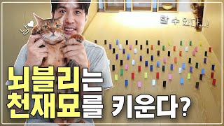 (ENG) 지석 아빠 아들 개냥이 '김치토'입니다🐈 [내 안의 보석|KIM JI SEOK]