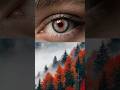 Lost in this gaze🌫️ #fallvibes #forestgaze #mistyforest #deepvision #eyeart #magicofautumn