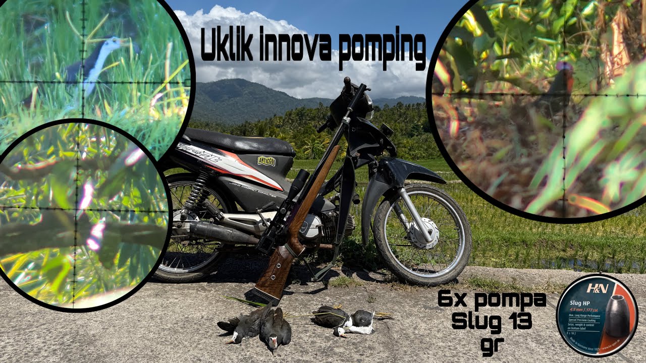 SEMUA BURUAN TERLIHAT⁉️BERBURU DENGAN UKLIK POMPING ‼️