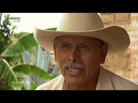 Doku Mexikos Mezcal-Route HD
