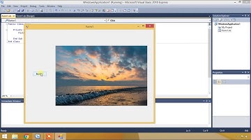 How to display a image in a Windows form in VB.net