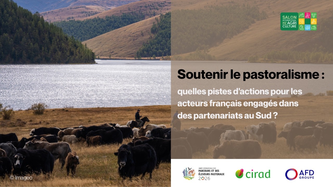 Soutenir le pastoralisme: Quelles actions des acteurs français engagés dans des partenariats au Sud?