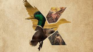 DUX 2026 (Day 3) - Live from the Duck Den!