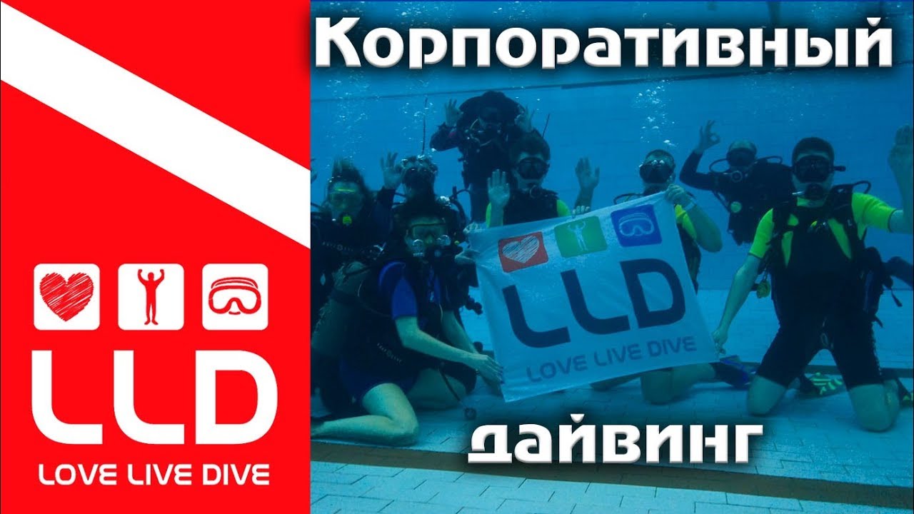 Обучение дайвингу в СПБ. Пробное погружение. Корпоративный дайвинг ...