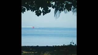 Maya Maya Milaya Bike Status 2020