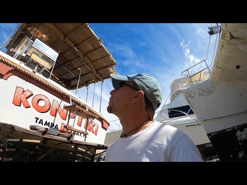 Dog Friendly Liveaboard