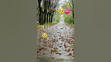 عاشو معنا الزمن الجميل 
