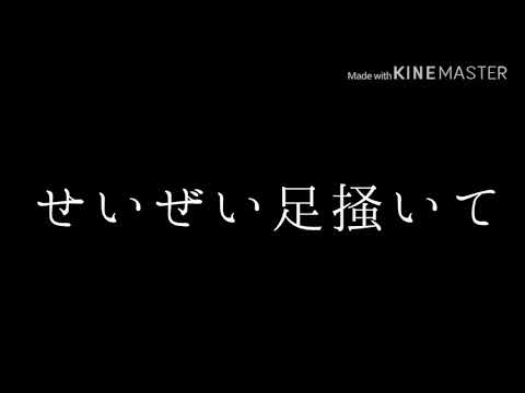 【東方MV】君は愚かで愛しいアリス