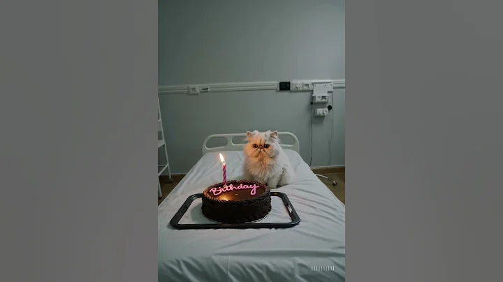 Cat ai sick #cat #aiandcats #animals #animal #aicats #ai #cute #cats #kitten #catshorts #shorts