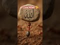 কি ধাক্কা মারতে মন চায় মারেন ধাক্কা কারণ এটা তো আল্লাহর নাম 🕋🕋 #islam #islamic #shortvideo