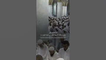 تلاوة خاشعة لفضيلة الشيخ: محمد خليل قارئ رحمه الله