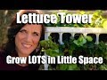Planting a Lettuce Tower - Grow a Lot in a Little Space