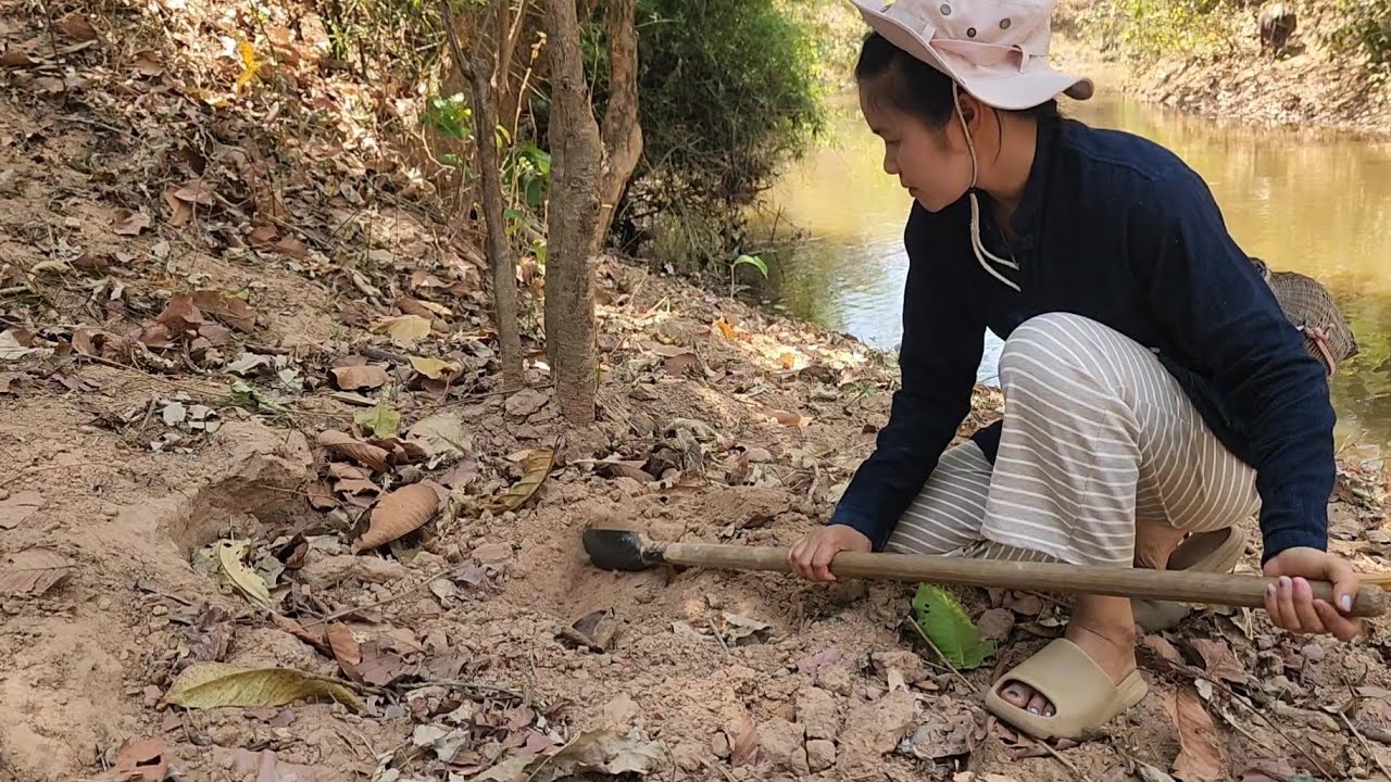ไปหาขัว​เขียด​ทราย​ตามลำห้วย​โมง
