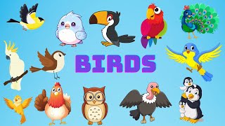 Name of Birds: Fun Learning for Kids | Discover Bird Names with kids learning land  | birds video