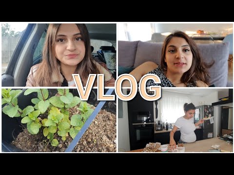 Vlog/სიახლე სახლის შესახებ- ხილ/ბოსტნეულის ბაღი გავაკეთე  + საყიდლები