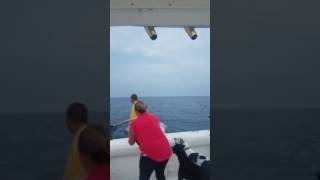 Lake Michigan Chicago King Salmon 31 pounds 2017