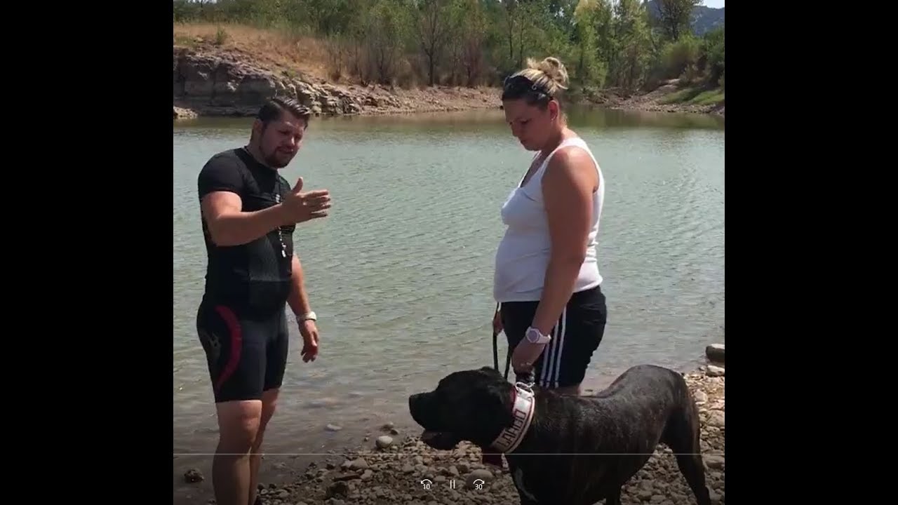POURQUOI MON CHIEN CANE CORSO A PEUR DE L'EAU/ERIC TRAMSON/ EDUCATEUR CANIN - YouTube