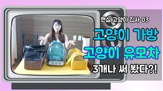 현실고양이 03 고양이 이동 가방, 유모차 3종 전격 비교