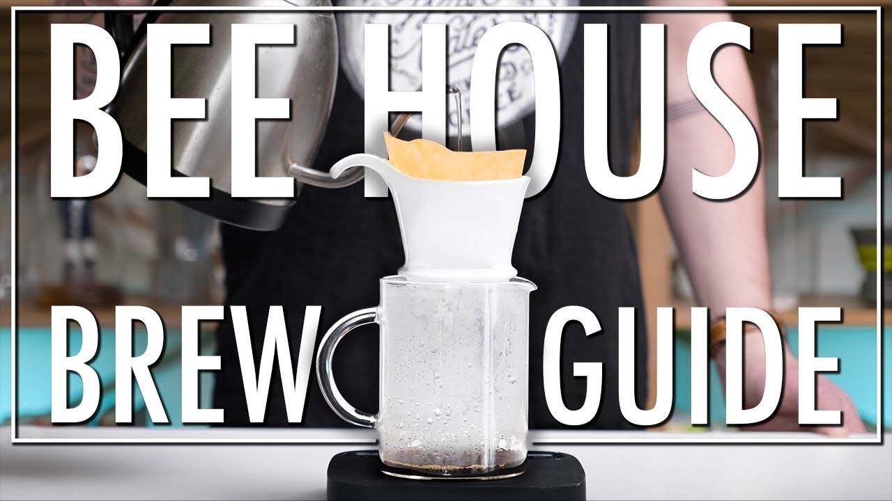 Brew Buzzingly Great Coffee With the Bee House Dripper YouTube