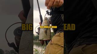 How to catch BIG fish