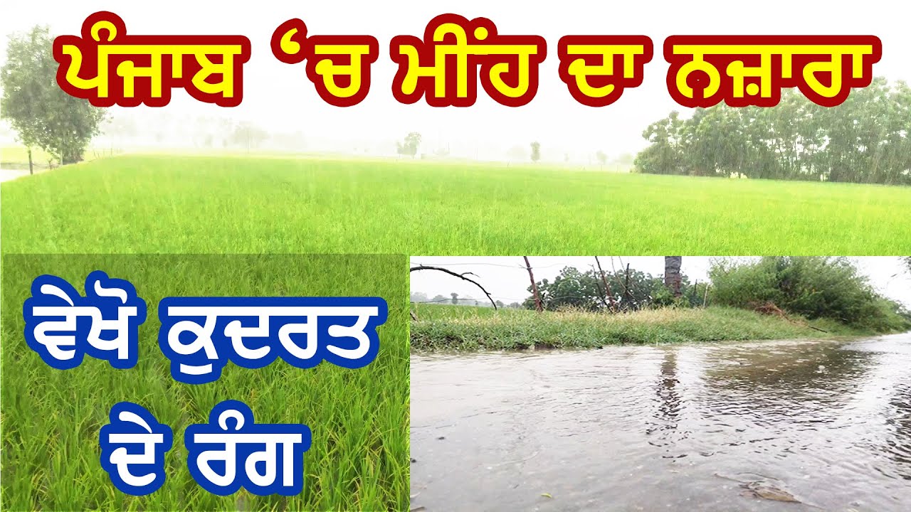 Weather Report | ਪੰਜਾਬ `ਚ ਮੀਂਹ ਦਾ ਨਜ਼ਾਰਾ, ਵੇਖੋ ਕੁਦਰਤ ਦੇ ਰੰਗ | Mosm Punjab | Monsoon