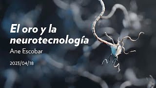 El oro y la neurotecnología, Ane Escobar | #Neurotecnología | San Telmo Museoa + DIPC