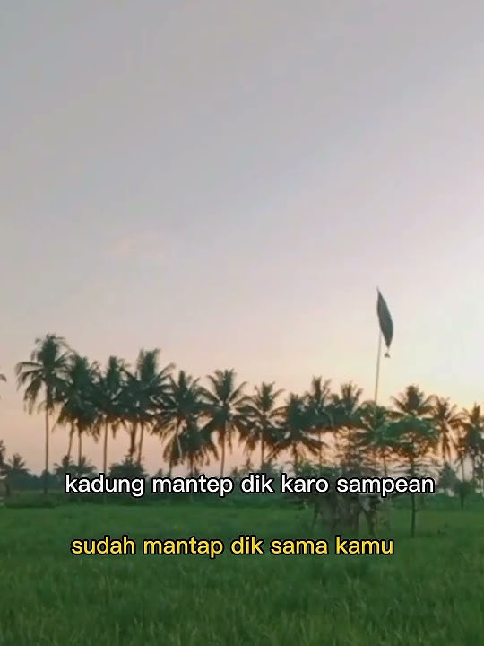 jangkrik dari kebun short story 30 detik #storywa #statuswa2022