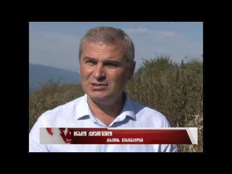 კახეთის გუბერნატორმა დასუფთავების აქცია მოაწყო