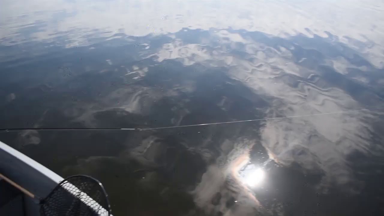 BIG MANISTIQUE LK WALLEYE  AND KENNADY LK BASS CURTIS MI U.P  JULY 2020