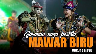 Download Lagu mawar biru voc gea ayu || jaranan nogo pertolo terbaru 2023 MP3