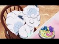 Vulpixs cute moments compilation