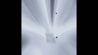 Xiao And Scaramouche- She Knows Genshin Impact Edit