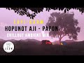 Papon  hopunot aji  lofi  axom  assamese chillout ambient mix