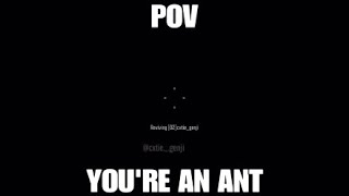 Povyoure An Ant