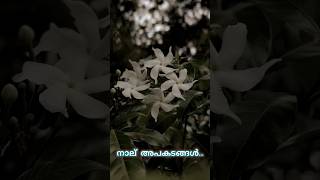 ദുഃഖം നൽകുന്ന നാല് കാര്യങ്ങൾ 🤔#shortvideo #lifefacts