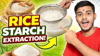 Rice Starch Extraction at Home | Easy Method | DIY Bioplastic Base 🌾 @BioInnovators lab