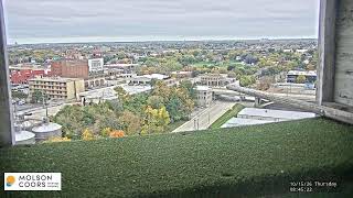 Milwaukee Brewery I-House Falcon Cam