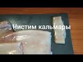 Греческий рецепт! Кальмары со шпинатом!