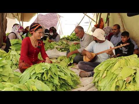 HURİYE ZEYNAL AHUZAR DERDE DILA