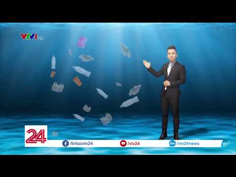 Video: Đảo rác ở Thái Bình Dương: nguyên nhân, hậu quả, ảnh