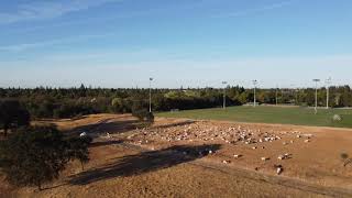 20210929 Maidu 2