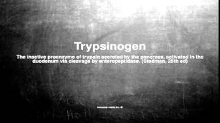 Medical Vocabulary What Does Trypsinogen Mean