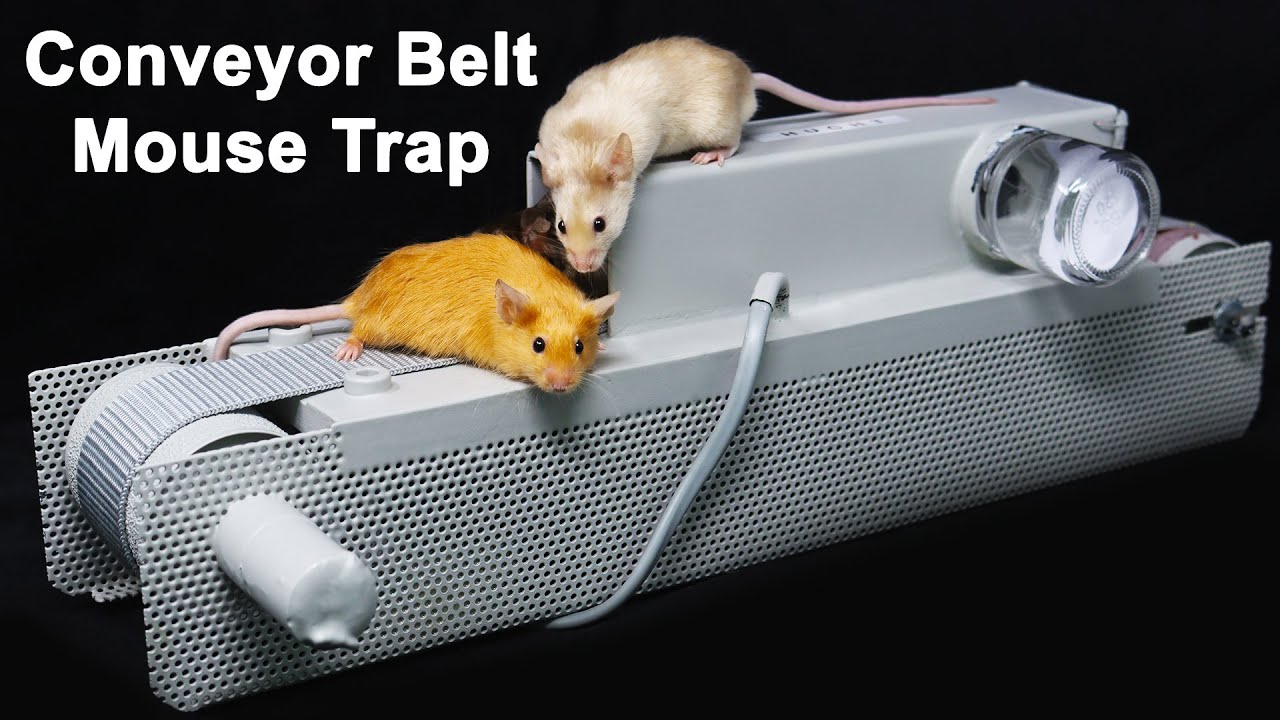 Automatic Conveyor Belt Mouse Trap - Mousetrap Monday 