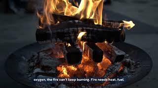 Why Does Baking Soda Put Out Fires? 🔥🧂 Science Explained Simply!