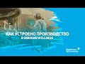 Как устроено производство в Siberian Wellness?